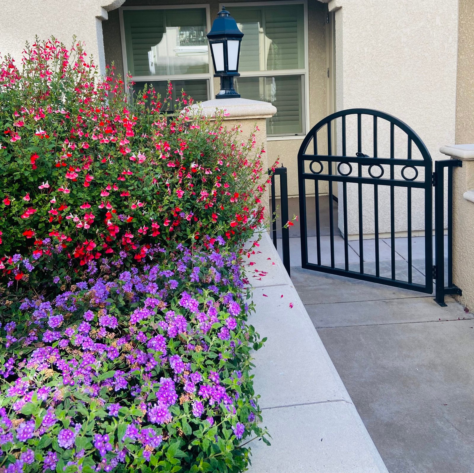 This is a beautiful meadows in the middle of the buildings.
